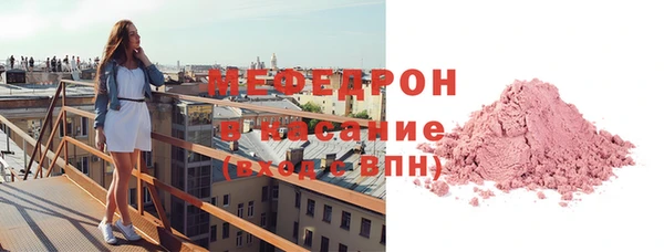 индика Алексин
