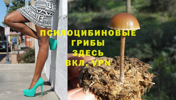 сатива Алексеевка