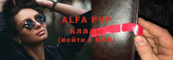 индика Алексин