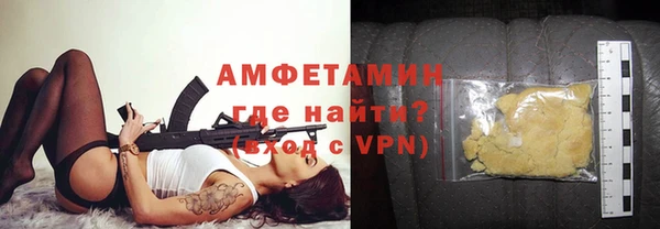 индика Алексин