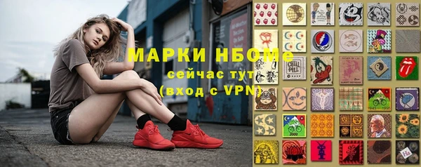индика Алексин