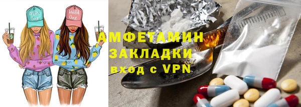 индика Алексин